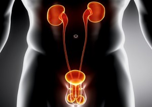 Urologist in Aundh | Urologist in Shivaji nagar