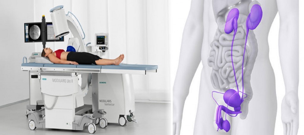 Urologist In Aundh