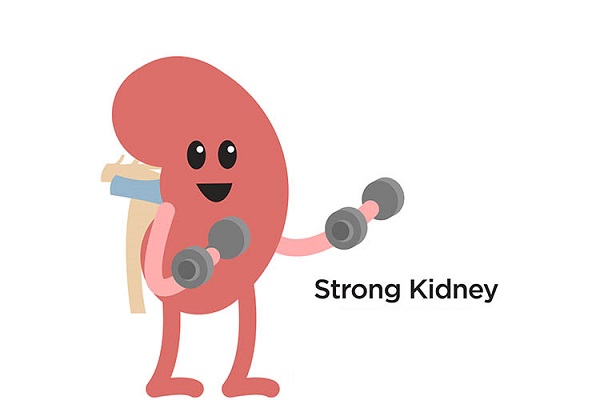 Kidney stone treatment in SB road, Shivaji Nagar, Aundh