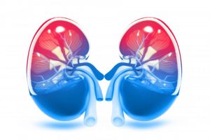 Kidney stone treatment in SB road, Shivaji Nagar, Aundh