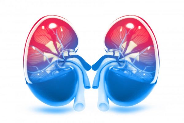 Kidney stone treatment in SB road, Shivaji Nagar, Aundh
